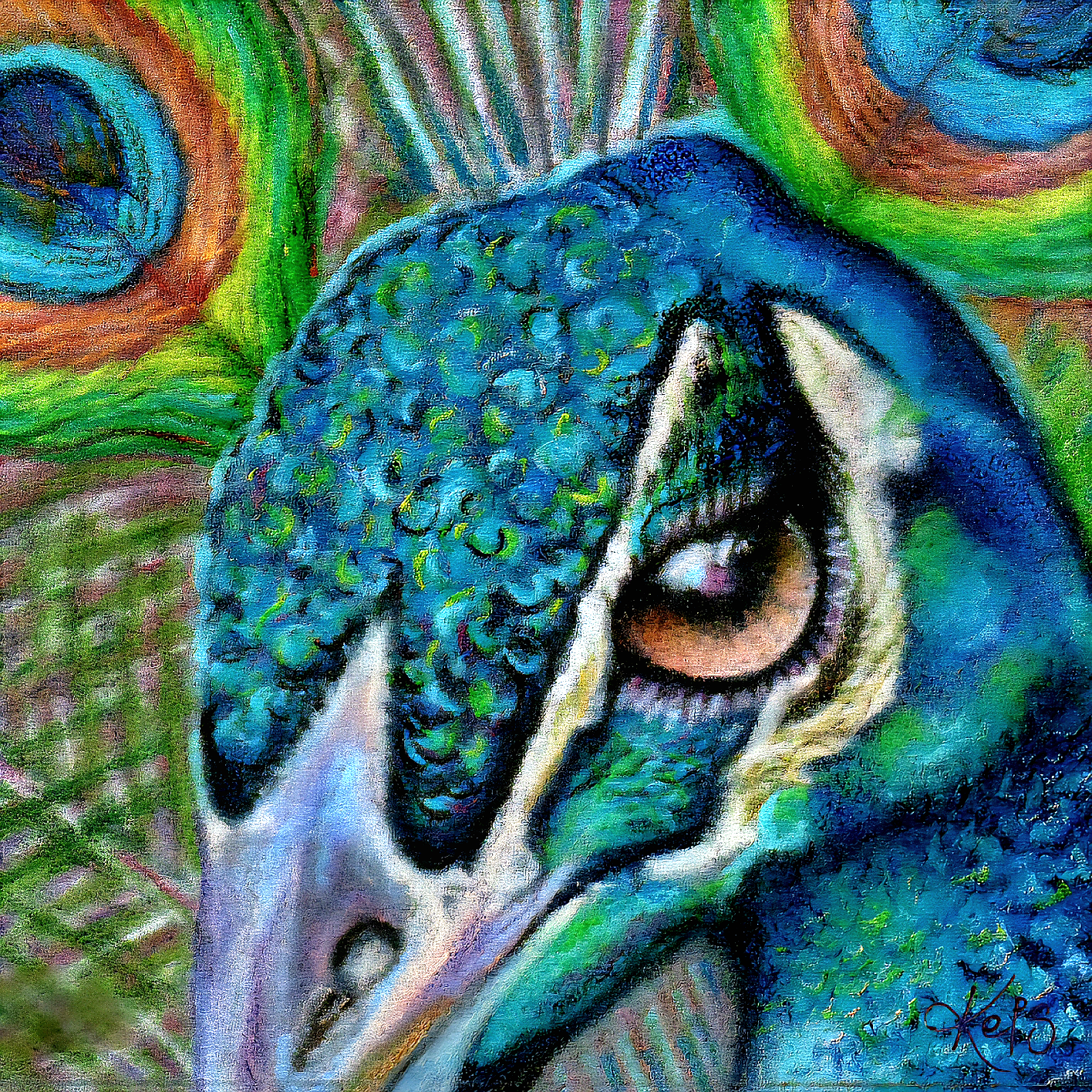 Peacock Fine Art Print – Radiance