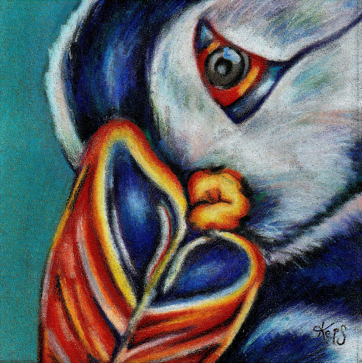 Puffin Fine Art Print – Charm