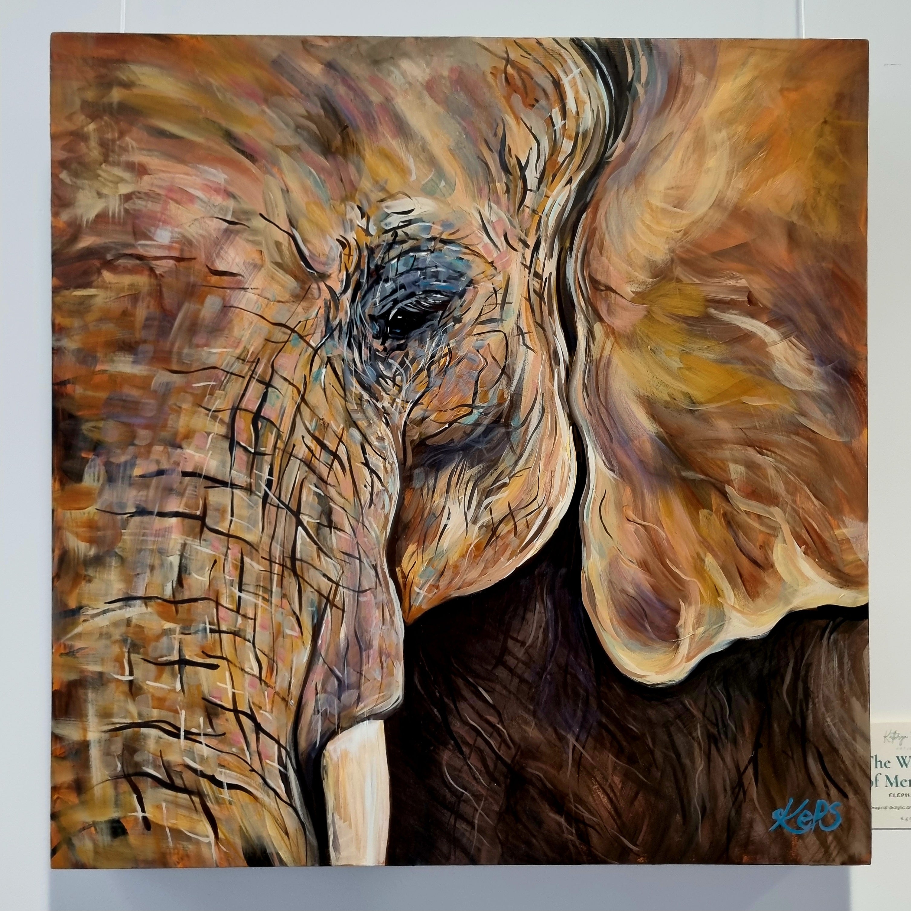 The Weight of Memory – Elephant