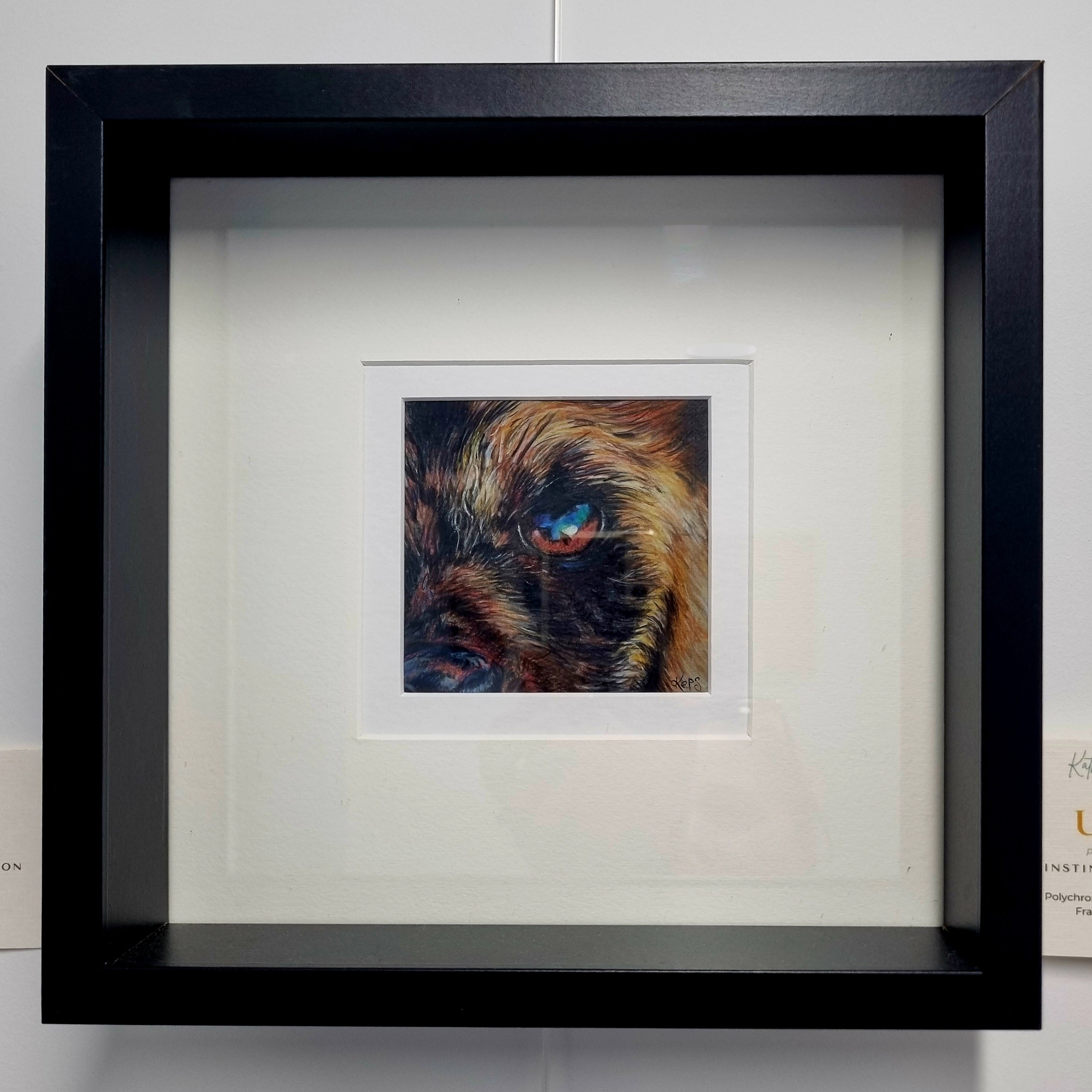 WILD DOG - Unity  - Original framed coloured pencil drawing (The Shared Instinct Collection)