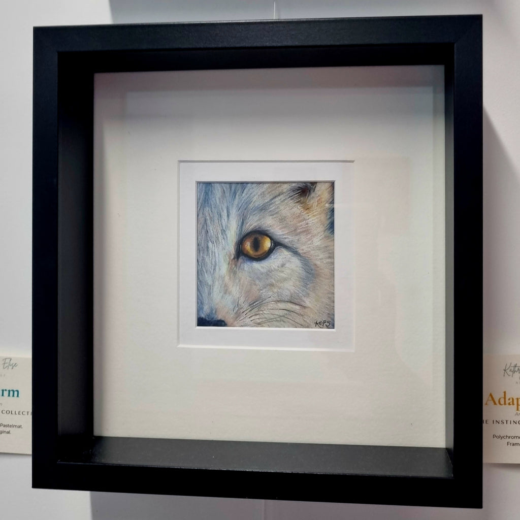ARCTIC FOX - Adaptation    - Original framed coloured pencil drawing    (The Shared Instinct Collection)