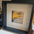 Eagle - Vision - Original framed coloured pencil drawing (The Wild Journey Collection)