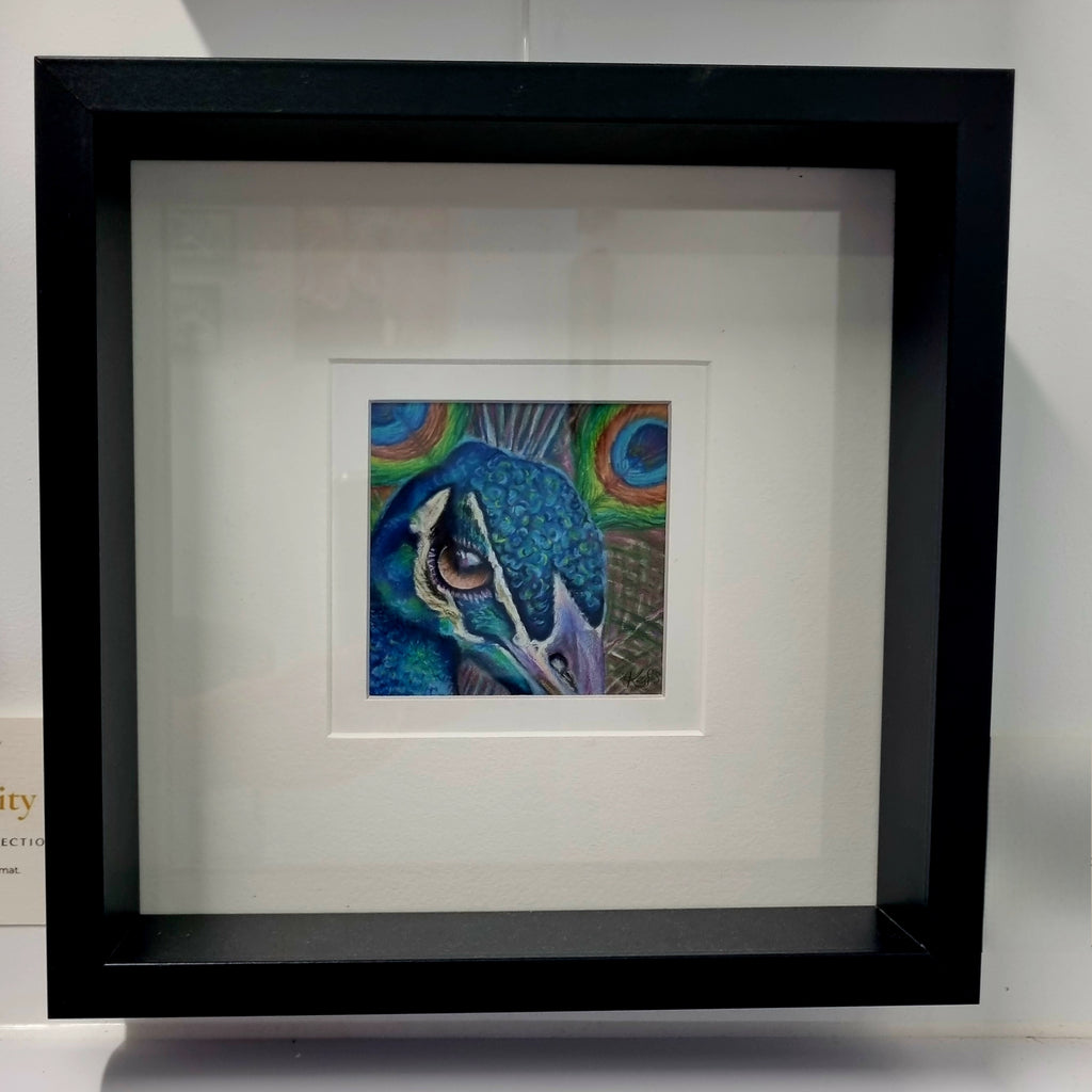 PEACOCK - Radiance     - Original framed coloured pencil drawing      (The Expressive Self Collection)