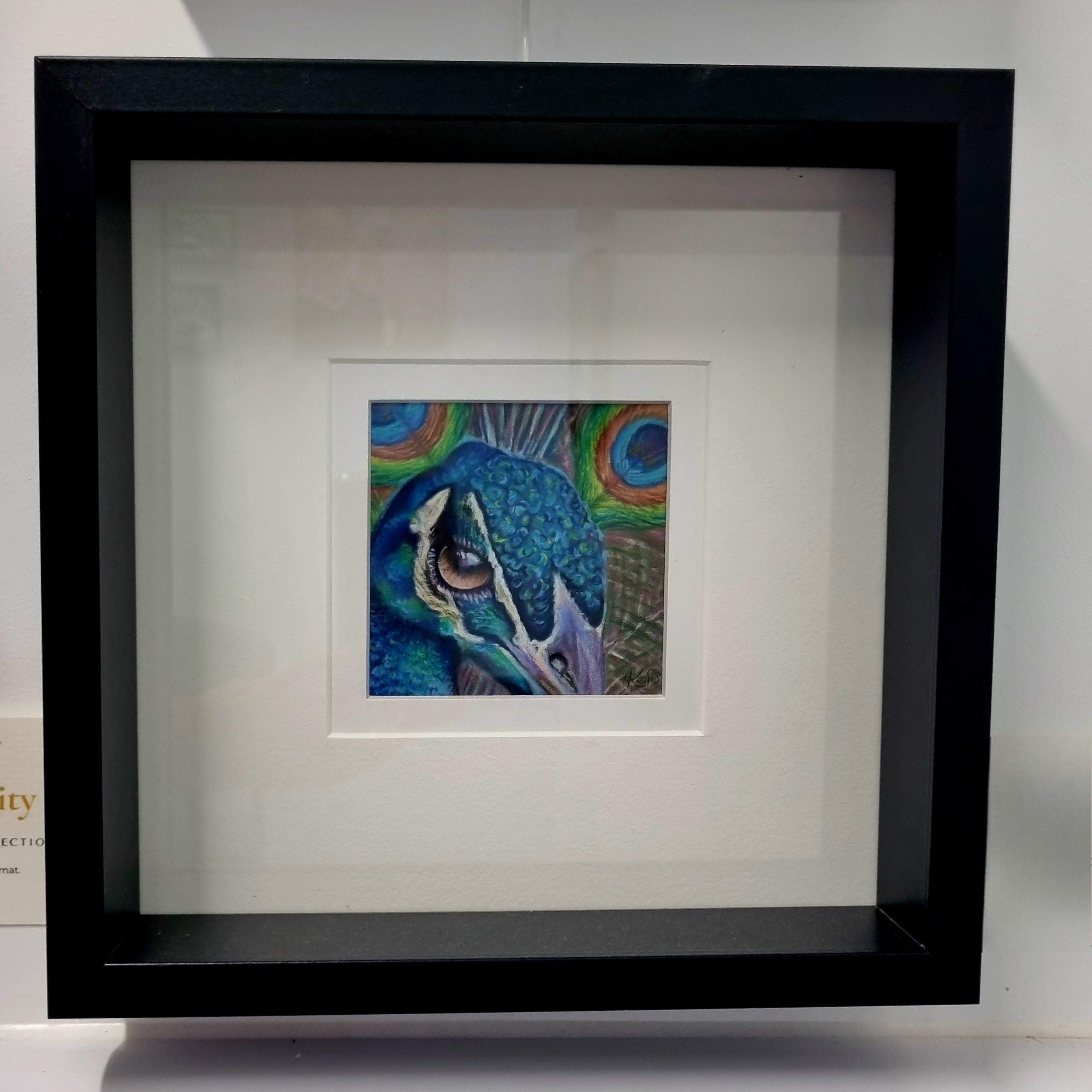 PEACOCK - Radiance     - Original framed coloured pencil drawing      (The Expressive Self Collection)