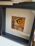 Owl - Insight - Original framed coloured pencil drawing (The Wild Journey Collection)