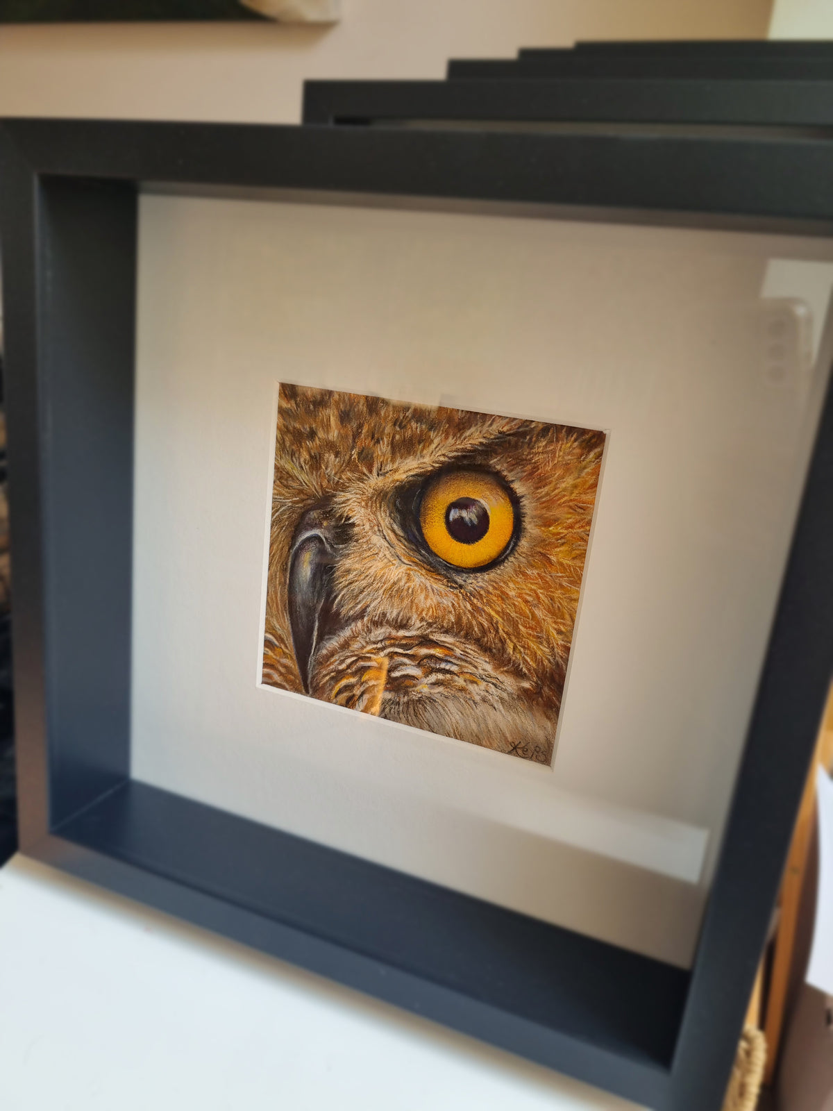 Owl - Insight - Original framed coloured pencil drawing (The Wild Journey Collection)