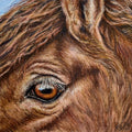 Wild Horse Fine Art Print – Freedom