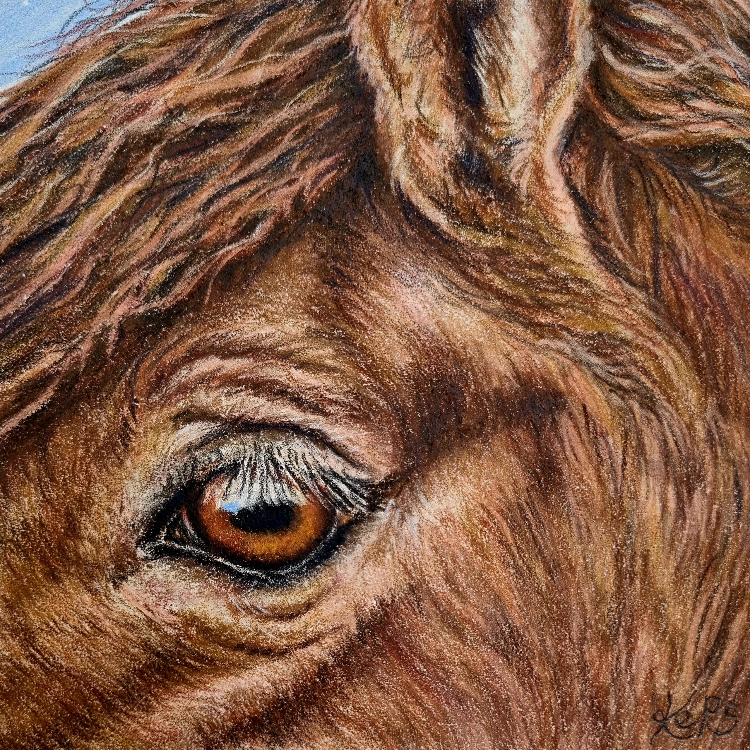 Wild Horse Fine Art Print – Freedom