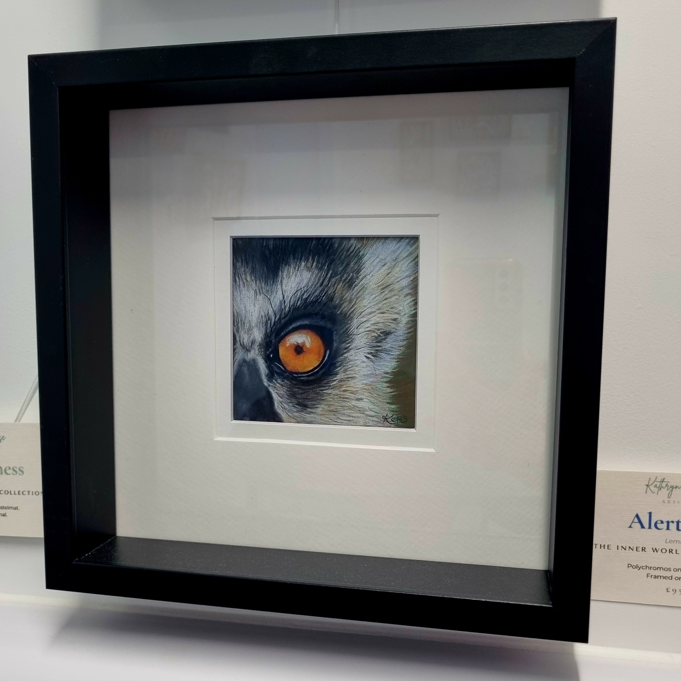 Close-up coloured pencil drawing of a lemur's eye representing alertness, presented in a deep black frame with a generous double mount.