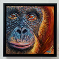 The Quiet Observer – Orangutan: Presence