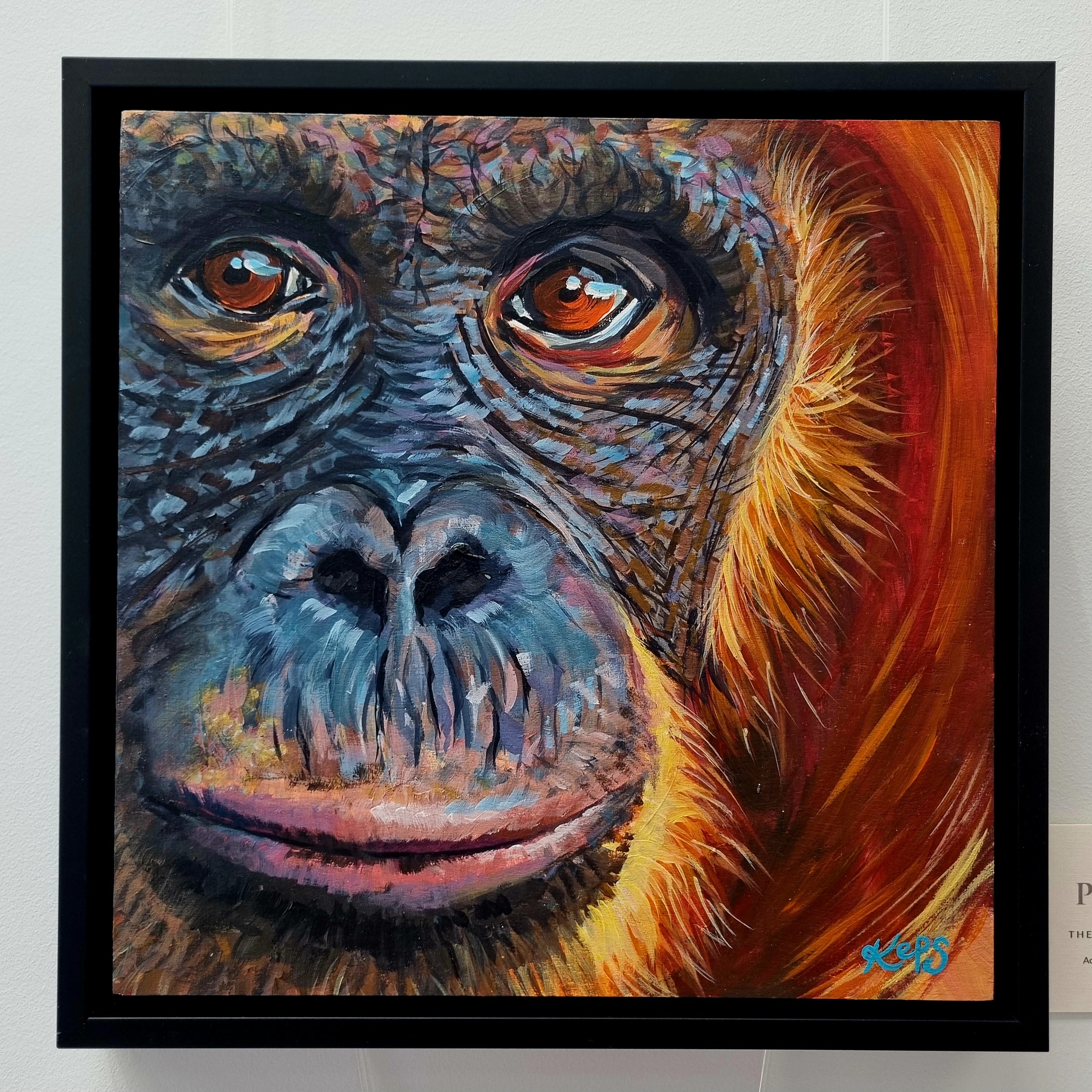 The Quiet Observer – Orangutan: Presence