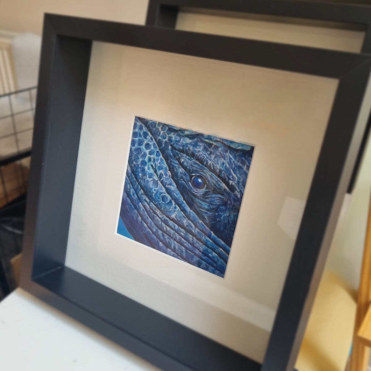 Humpback Whale- Calling - Original framed coloured pencil drawing (The Wild Journey Collection)