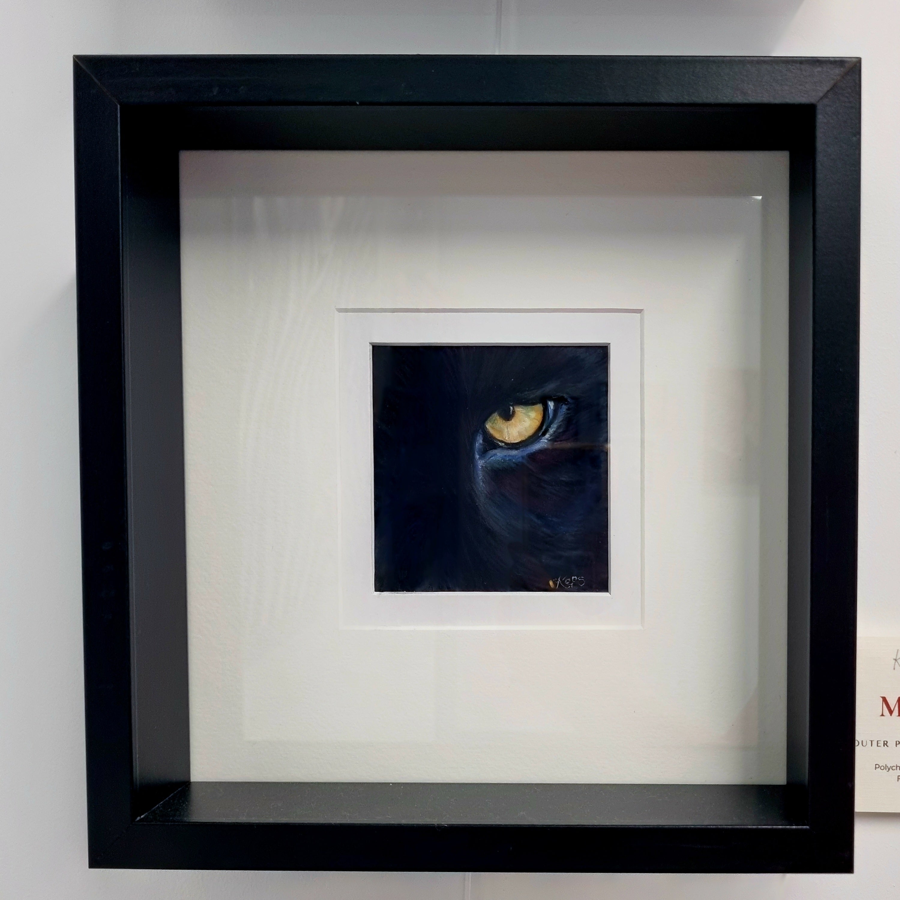 PANTHER - Mystery - Original framed coloured pencil drawing  (The Outer Presence Collection)
