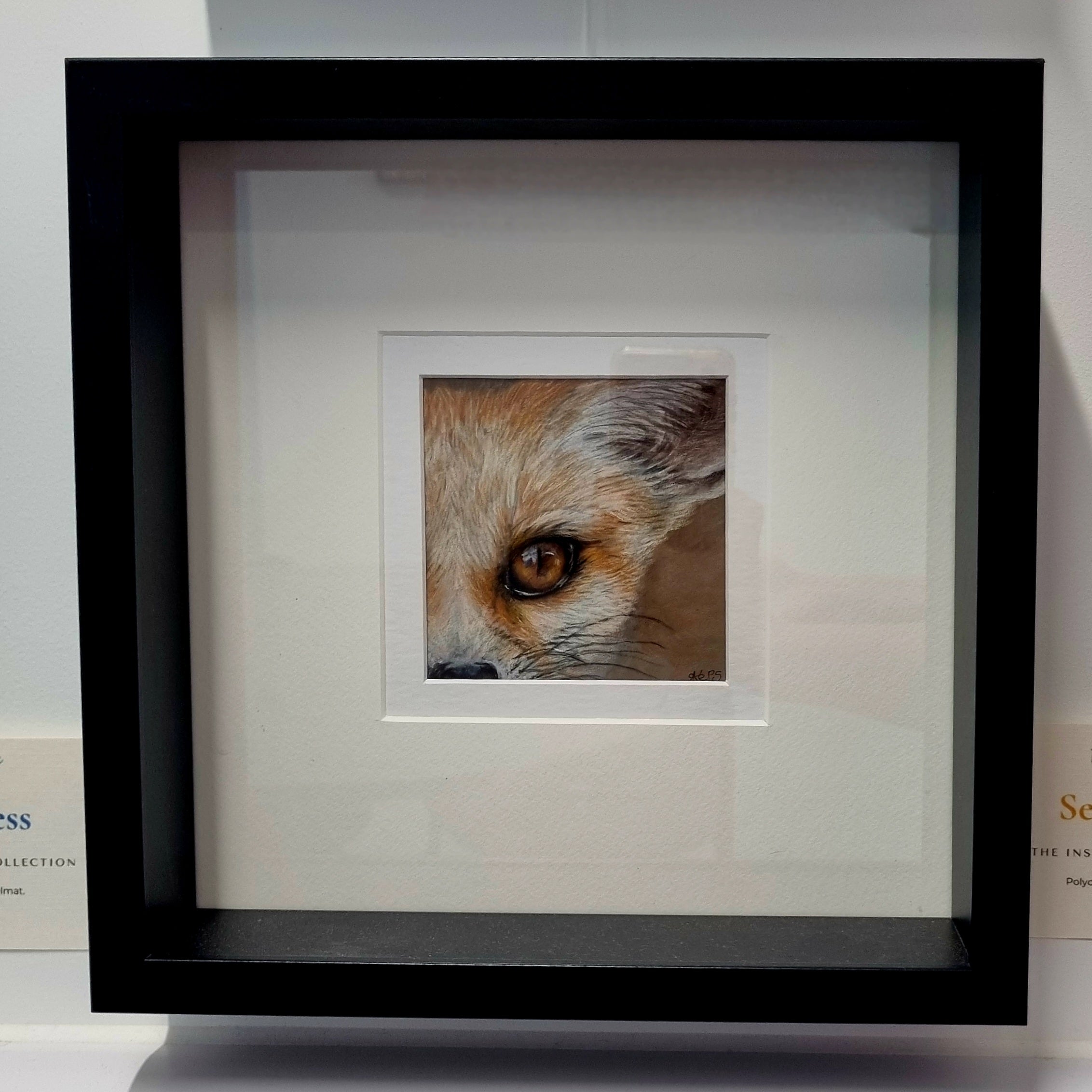 FENNEC FOX - Sensitivity   - Original framed coloured pencil drawing   (The Shared Instinct Collection)