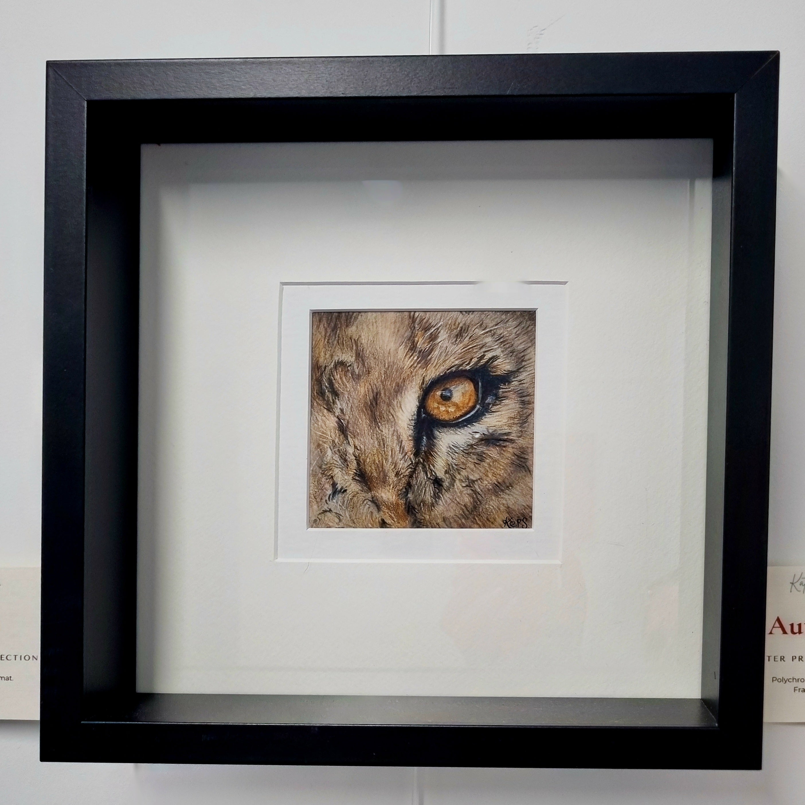 LIONESS - Authority   - Original framed coloured pencil drawing   (The Outer Presence Collection)