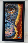The Quiet Observer – Orangutan: Reflection
