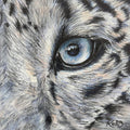 Snow Leopard Fine Art Print – Stillness