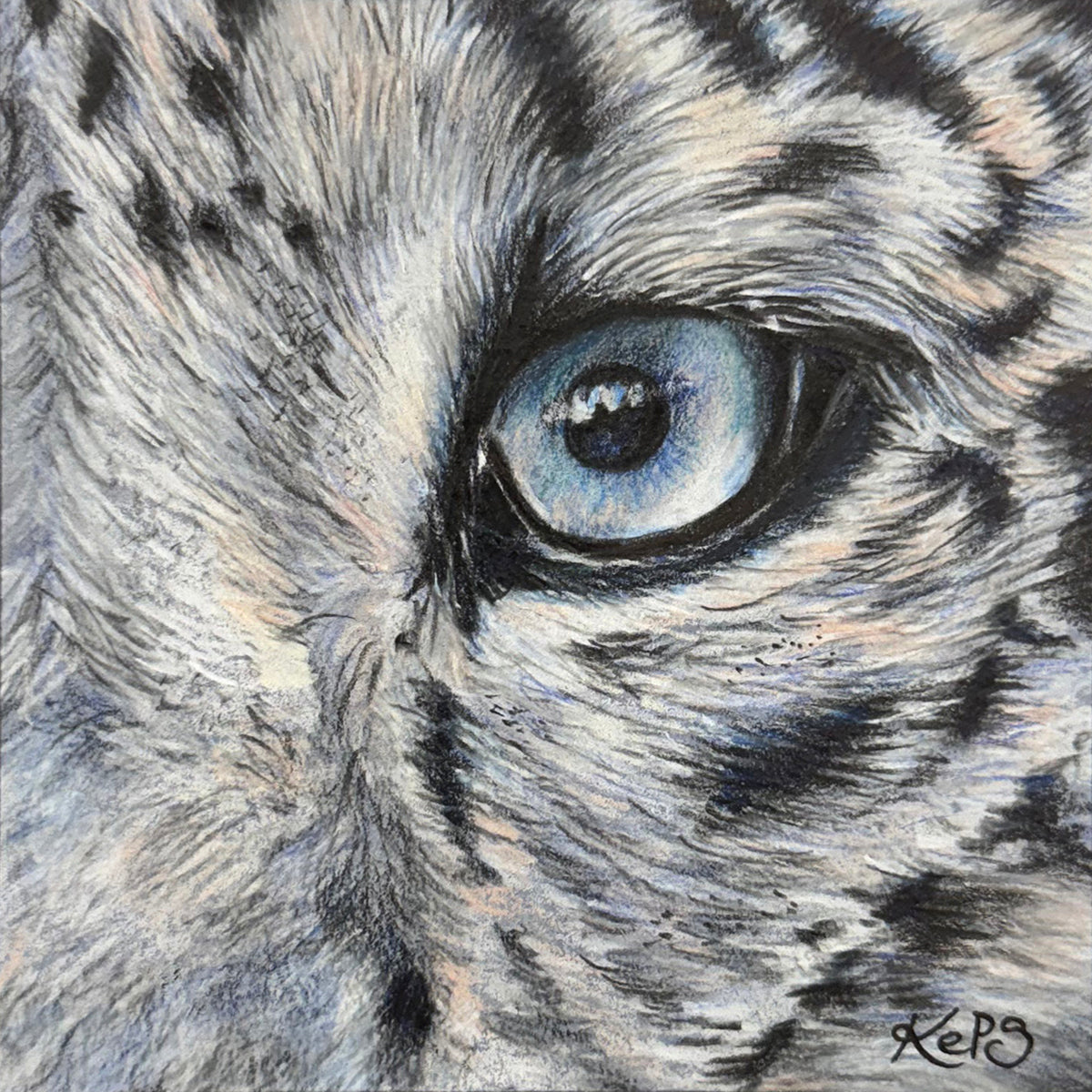 Snow Leopard Fine Art Print – Stillness