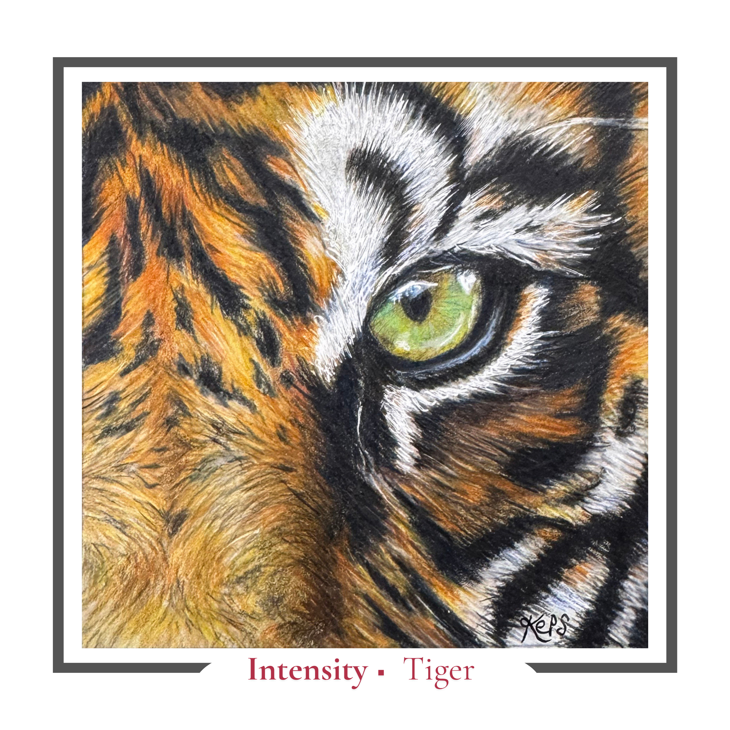 Tiger greeting card featuring an expressive tiger eye representing intensity by Kathryn Elise.