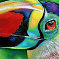 Toucan Fine Art Print – Joyful