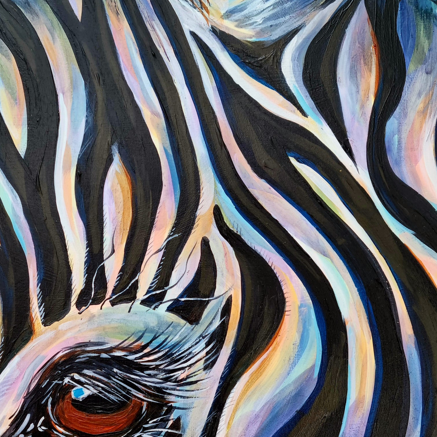The Wild Rhythm of Life – Zebra